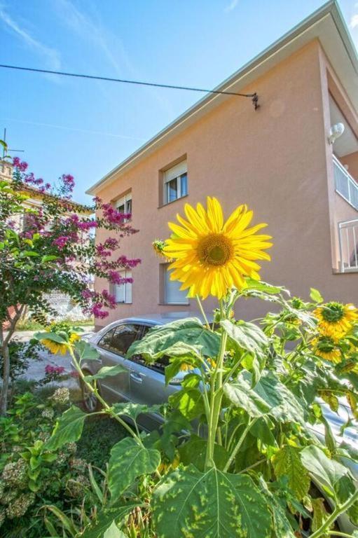 Apartman Studio Nena Crikvenica Dış mekan fotoğraf